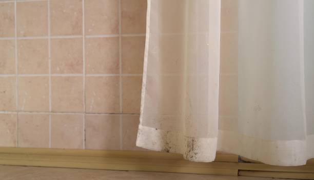 Best Emergency Mold Remediation  in Elkhorn, CA