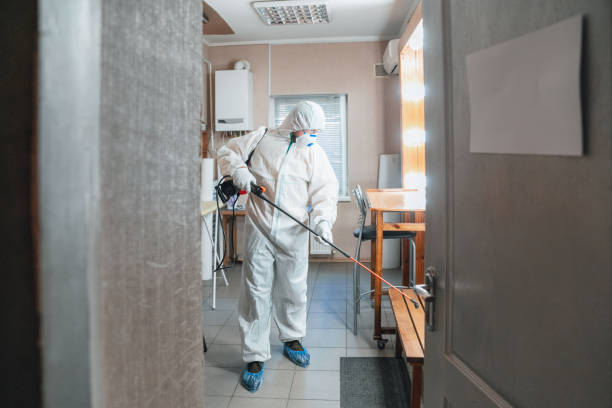 Best Residential Mold Inspection & Testing  in Elkhorn, CA