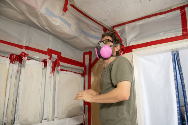 Best Environmental Consulting for Mold Prevention  in Elkhorn, CA