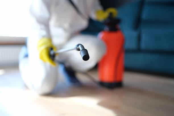  Elkhorn, CA Mold Removal Pros
