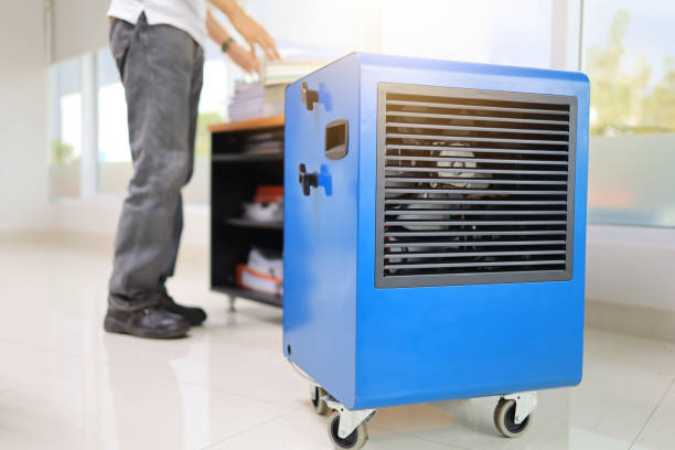 Best Industrial Mold Remediation  in Elkhorn, CA