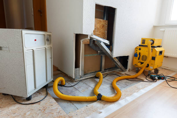 Best Biohazard Mold Removal  in Elkhorn, CA